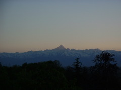 Photo /users/aendr/cheshirecat/301