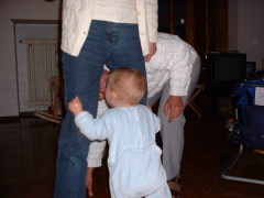 Photo /users/aendr/cheshirecat/306