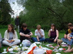 Photo /users/aendr/cheshirecat/334