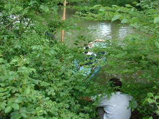 Photo /users/aendr/cheshirecat/343