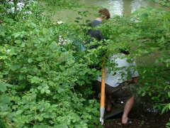 Photo /users/aendr/cheshirecat/344