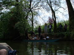 Photo /users/aendr/cheshirecat/345