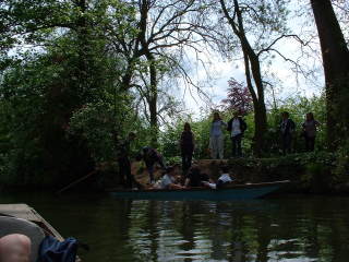 Photo /users/aendr/cheshirecat/345