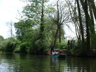 Photo /users/aendr/cheshirecat/346