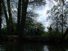 Photo /users/aendr/cheshirecat/347