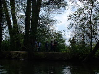 Photo /users/aendr/cheshirecat/347