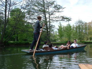 Photo /users/aendr/cheshirecat/350