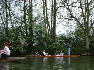 Photo /users/aendr/cheshirecat/358