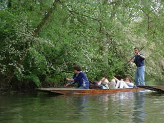 Photo /users/aendr/cheshirecat/359