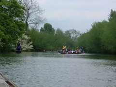 Photo /users/aendr/cheshirecat/361