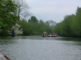 Photo /users/aendr/cheshirecat/361