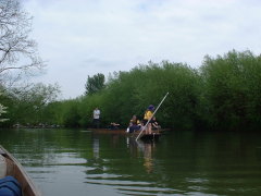 Photo /users/aendr/cheshirecat/362