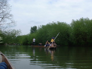 Photo /users/aendr/cheshirecat/362