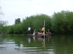 Photo /users/aendr/cheshirecat/363