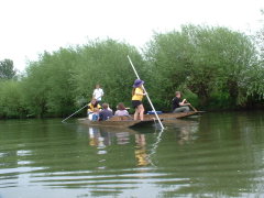 Photo /users/aendr/cheshirecat/364