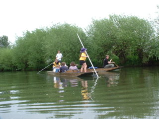 Photo /users/aendr/cheshirecat/364