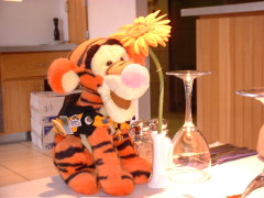 Photo /users/aendr/cheshirecat/381