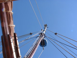 Photo /users/aendr/cheshirecat/390