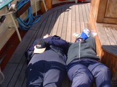 Photo /users/aendr/cheshirecat/391