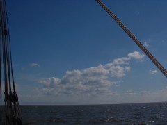 Photo /users/aendr/cheshirecat/394