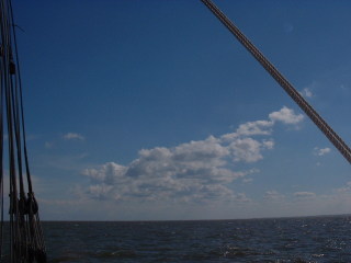 Photo /users/aendr/cheshirecat/394