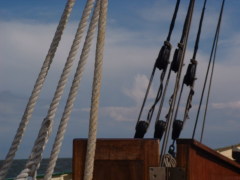 Photo /users/aendr/cheshirecat/396