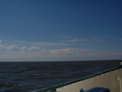 Photo /users/aendr/cheshirecat/397