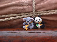 Photo /users/aendr/cheshirecat/409