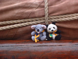 Photo /users/aendr/cheshirecat/409