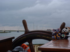 Photo /users/aendr/cheshirecat/410