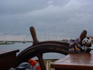 Photo /users/aendr/cheshirecat/410