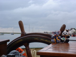 Photo /users/aendr/cheshirecat/411