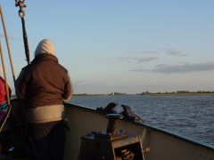 Photo /users/aendr/cheshirecat/416