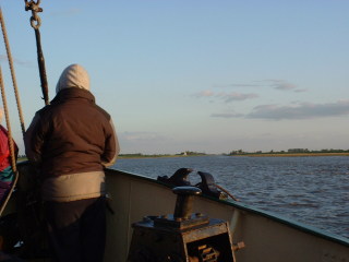 Photo /users/aendr/cheshirecat/416