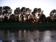 Photo /users/aendr/cheshirecat/421