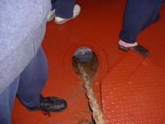 Photo /users/aendr/cheshirecat/426