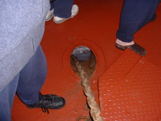 Photo /users/aendr/cheshirecat/426