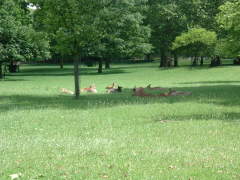 Photo /users/aendr/cheshirecat/492