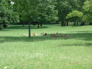 Photo /users/aendr/cheshirecat/492