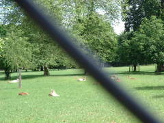 Photo /users/aendr/cheshirecat/493