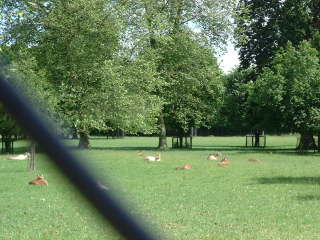 Photo /users/aendr/cheshirecat/494