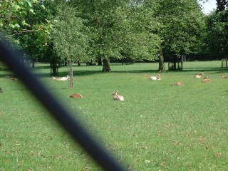 Photo /users/aendr/cheshirecat/495