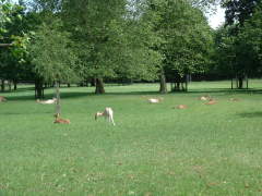 Photo /users/aendr/cheshirecat/496