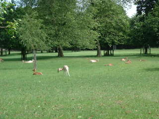 Photo /users/aendr/cheshirecat/496