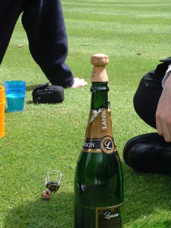 Photo /users/aendr/cheshirecat/505