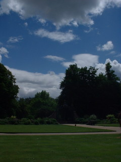 Photo /users/aendr/cheshirecat/514