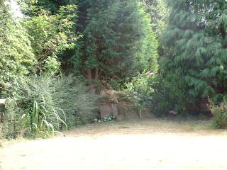 Photo /users/aendr/cheshirecat/631