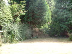 Photo /users/aendr/cheshirecat/632