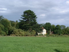 Photo /users/aendr/cheshirecat/646