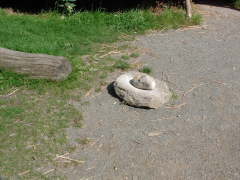 Photo /users/aendr/cheshirecat/656